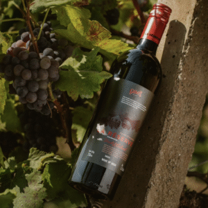 La Reserve Syrah Grenache - Image 4